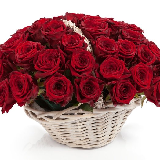 51 red roses