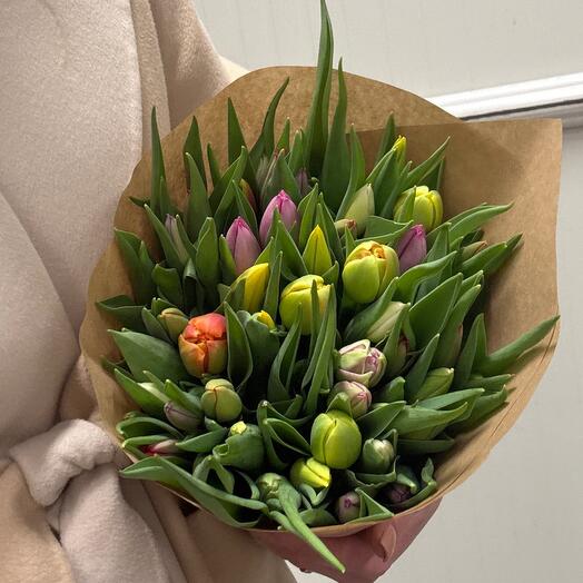 Mix tulips