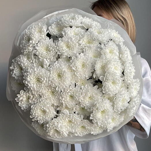Облако из белых хризантем Алтай