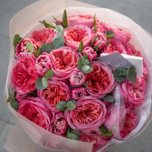 Terciopelo Rosa