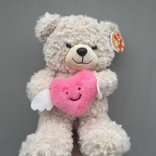 Teddy bear with a heart