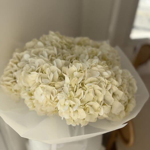 11 White hydrangeas