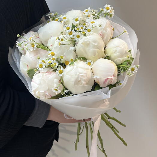 Paeonia 11 + Tanacetum