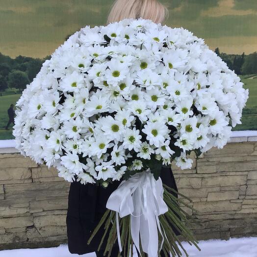 Ромашковое солнце