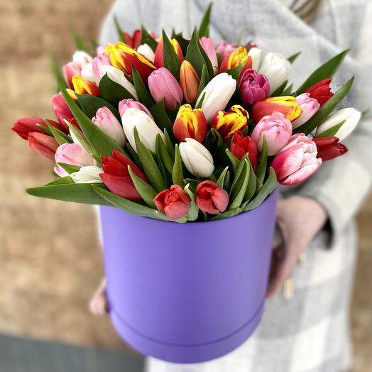 51 Tulips in a Box