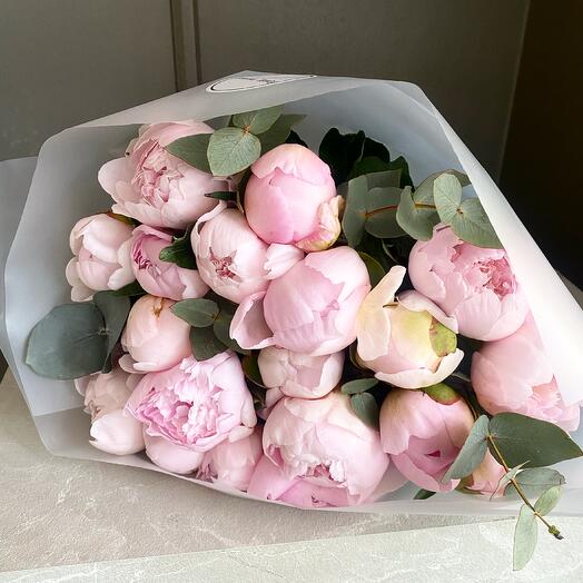 15 Pink Peonies with Eucalyptus