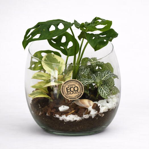Florarium in a glass vase 2
