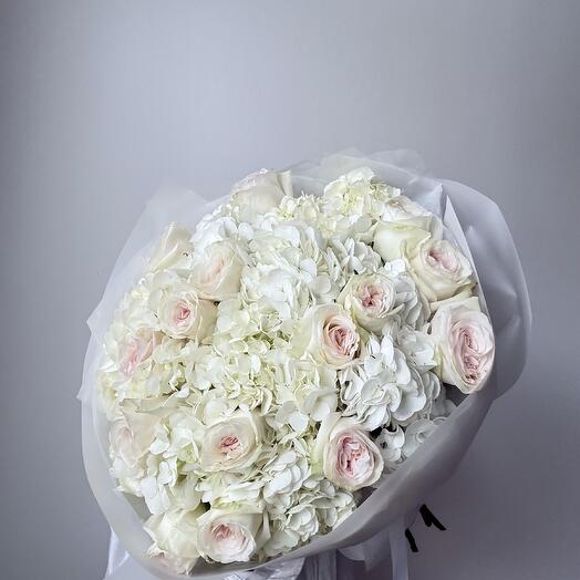 White Hortenzie and o hara