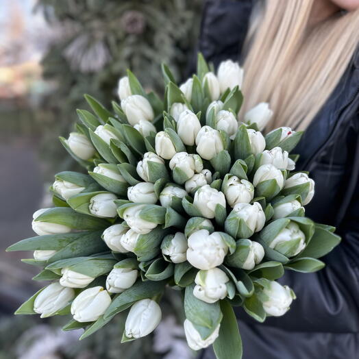 White tulipss