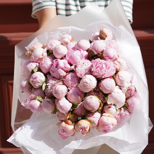 Peonies Sarah Bernard size xxl 60pcs