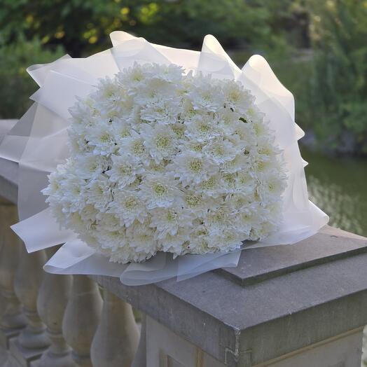 White Marguerite Bouquet