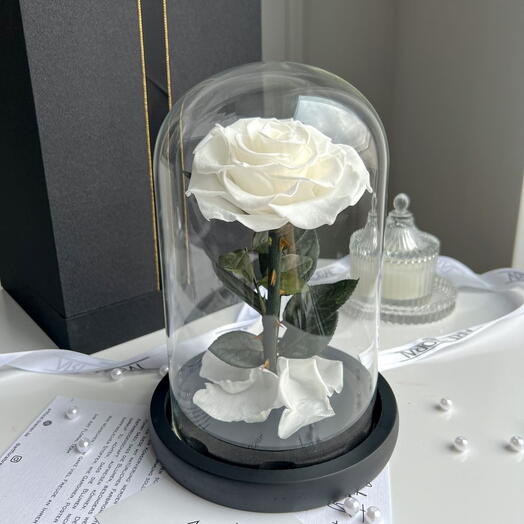 Ewige weisse Rose im Glas