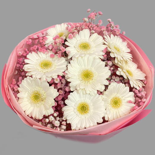 Bouquet del giorno con gerbere bianche e gipsofila rosa