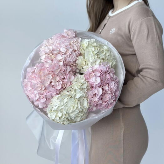 Облако из 5 Гортензий