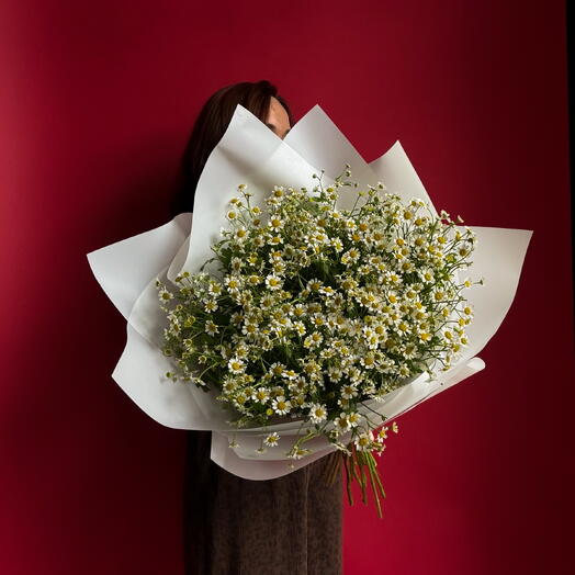 Valentines 1 - Matricaria Mono