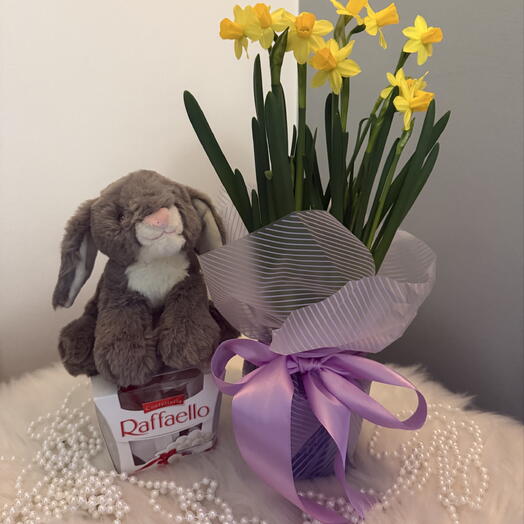 💛 Spring daffodils