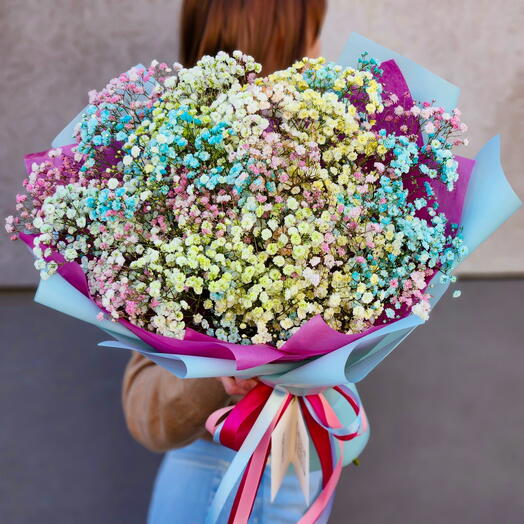 Gypsophila flowers S
