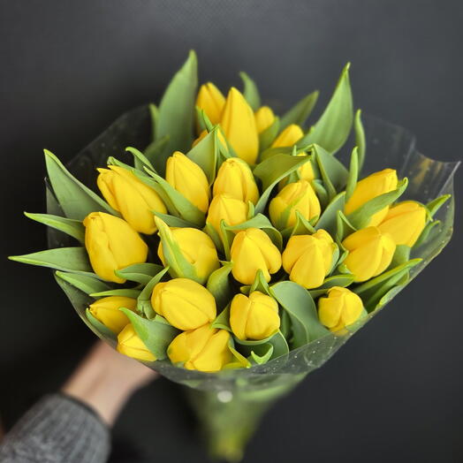 25 сары тюльпан сары тюльпан