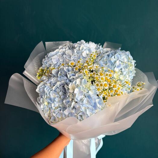 Hydrangeas with chamomile | Soft mix
