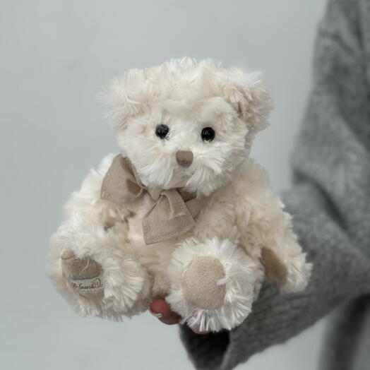 Bukowski bear boy small white