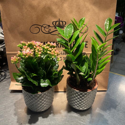 En liten present forpackning