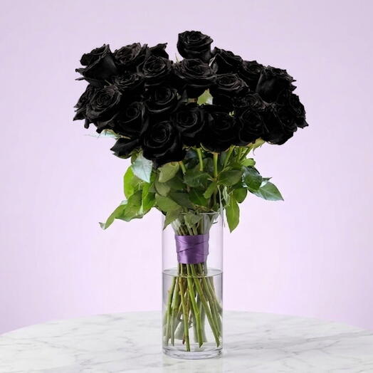 Eclipse (25 Rosas Negras)