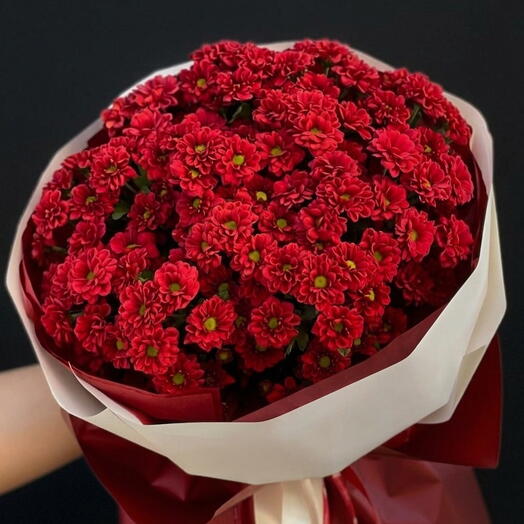 🌺 Głęboki Karmazyn: Obfity Bukiet Bordowych Chryzantem