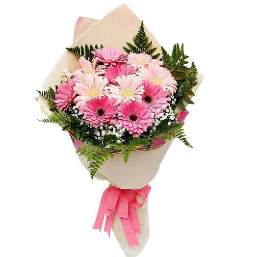 Pink|fuchsia gerberas