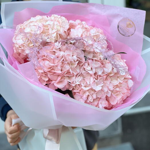 5 hydrangeas in the design