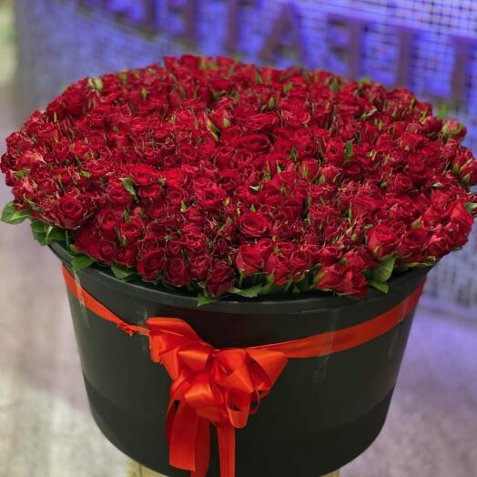 501 red roses 50-60cm