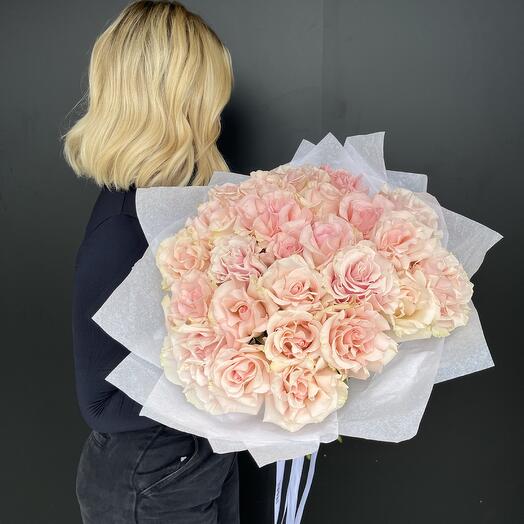 French roses 15 pink worldwide