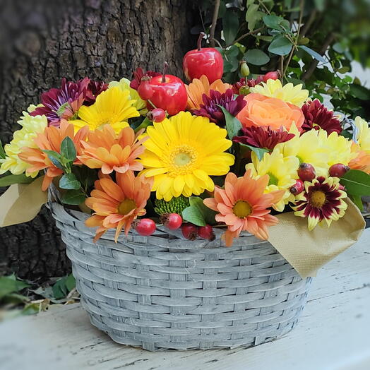 Chrisantema in basket