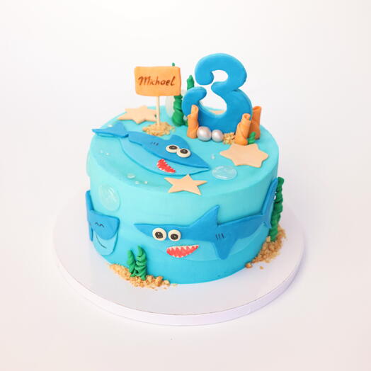 Custom children s celebration cake