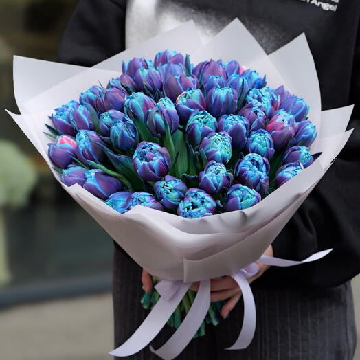 49 blue tulips