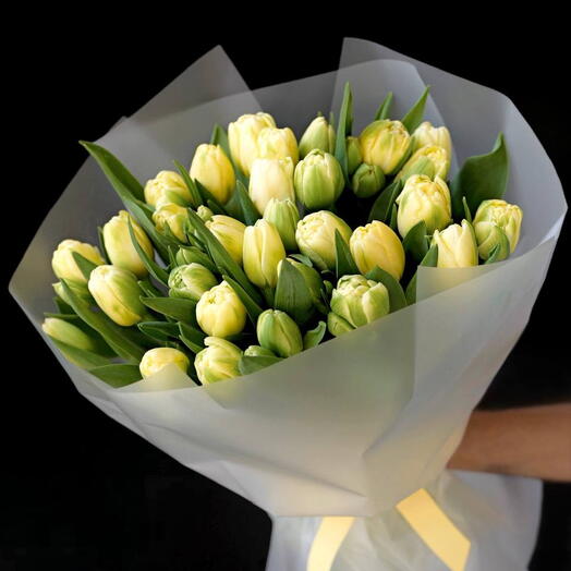 Peony-shaped tulips Sunshine