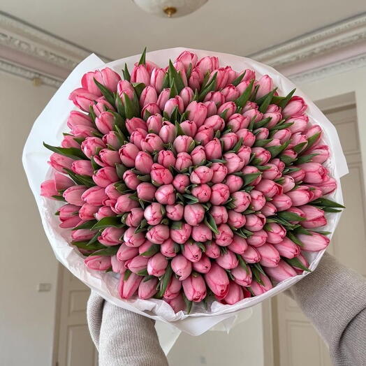 Pink Tulips 50 stems