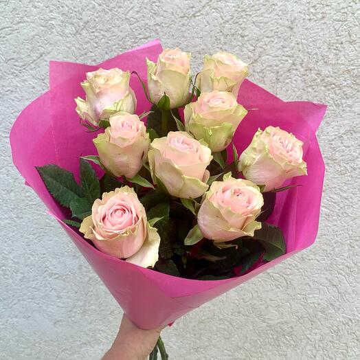 Pink roses