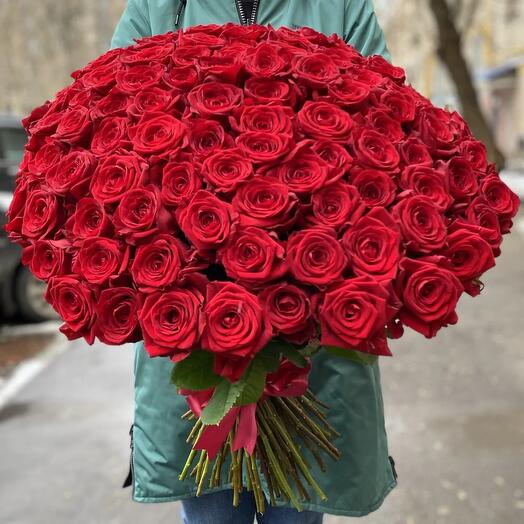 101 trandafiri roșii 60 cm