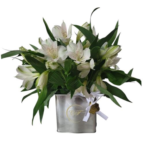 Modern minimalist,  Alstomeria in tin jar