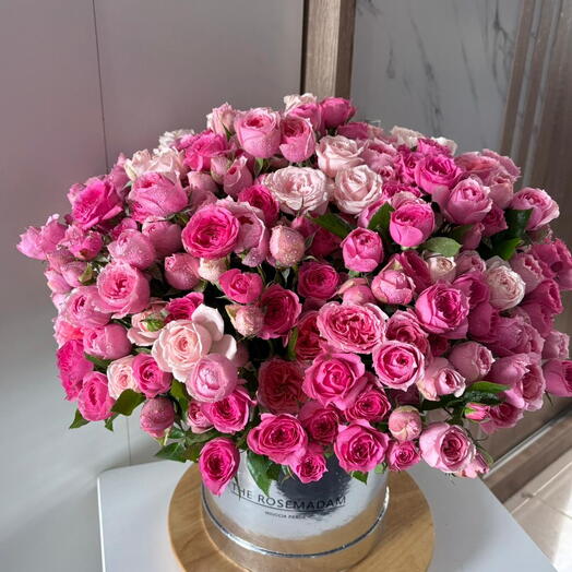 51 bush Roses in a box