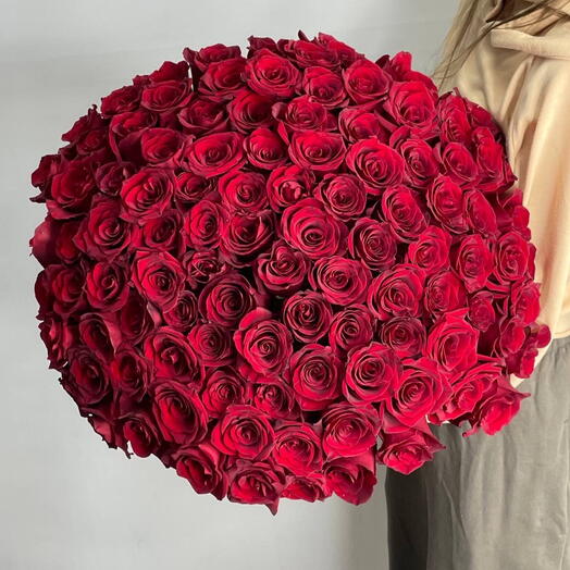 101 Red roses