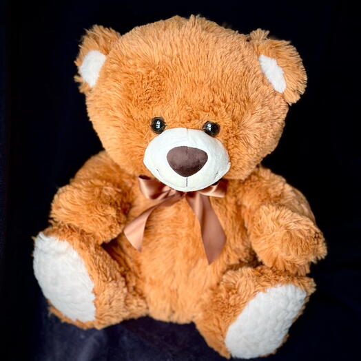 Brown Teddy Bear, 40 cm