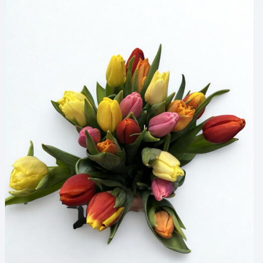 Varikas tulppaani kimppu (21kpl)