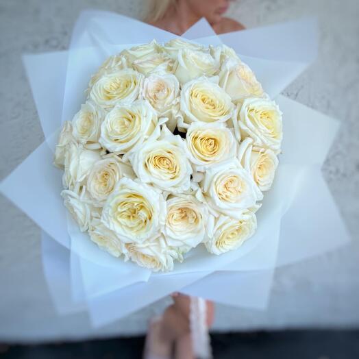 25 premium garden roses