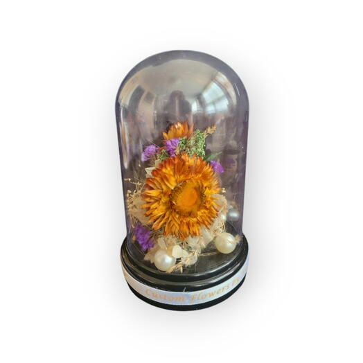 Best wishes. Dome arangments, dry flowers