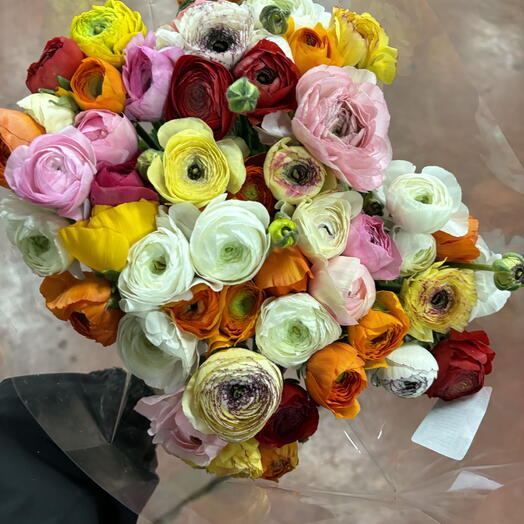 Ranuncoli LAST MINUTE