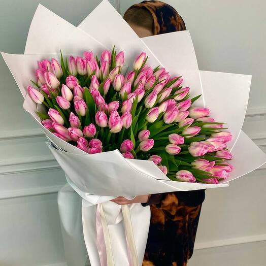 101 pink tulips