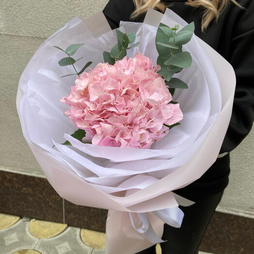 Гортензия с эвкалиптом «Сенди»