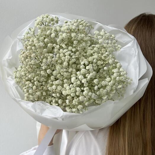 Гипсофила белая