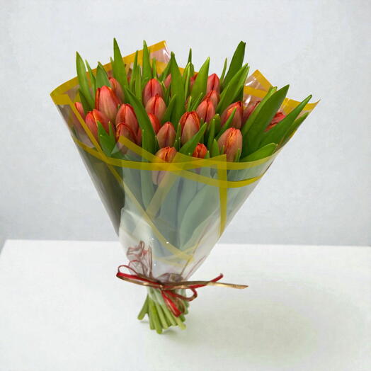 Bouquet of 25 tulips
